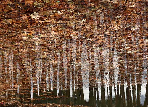 saapra-نادرکاوه